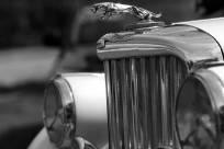 Jaguar_135mm-f4.5.jpg_ALT