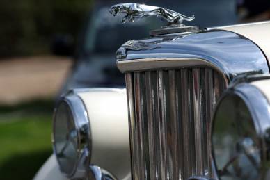 Bild: Jaguar_135mm-f4.5