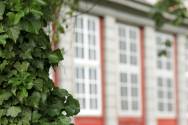 Seitenfenster-Schlosss-Wolfenbuettel_135mm-f5.6.jpg_ALT