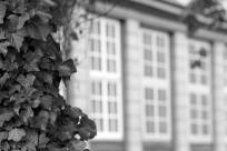 Seitenfenster-Schlosss-Wolfenbuettel_135mm-f5.6.jpg_ALT